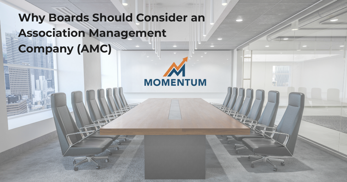 board meeting at momentum